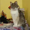 Отзыв от Вероника Малышева